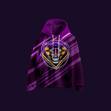 Champion's crest hoodie